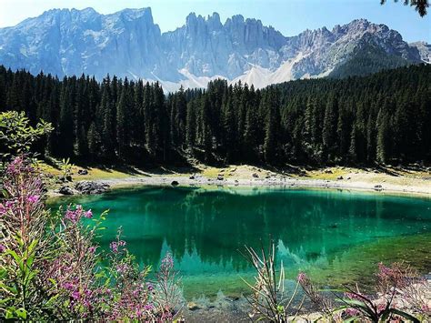 A Beautiful And Colorful Lake In The Woods Lake Carezza In South Tyrol