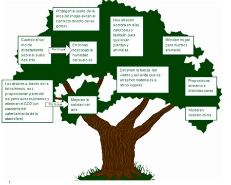 Beneficios Y Perjuicios De Los árboles Jardines Sin Fronteras