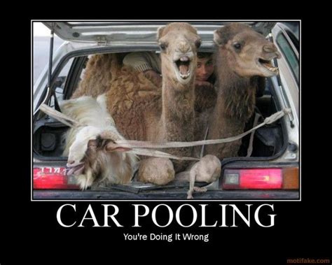 Carpooling Ridesharing Carpool Humor Humor Youre Doing It Wrong