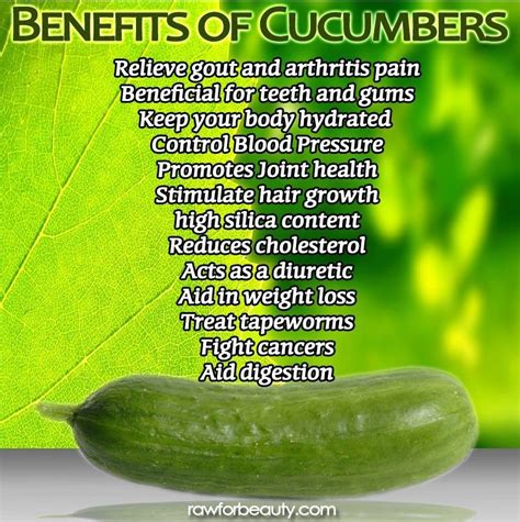 The Mighty Cucumber Cucumber Benefits Health And Nutrition Health