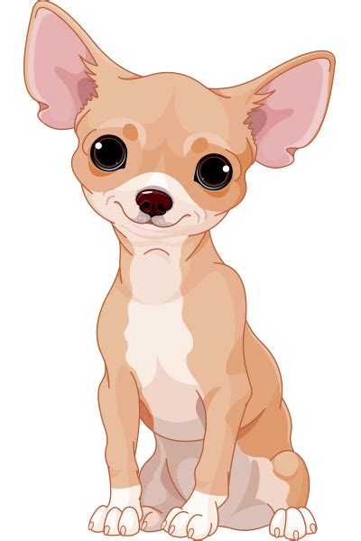 Sweet Chihuahua Chihuahua Drawing Chihuahua Art Cute Dogs