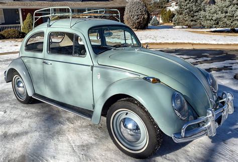 Original Survivor 1964 Volkswagen Beetle Barn Finds