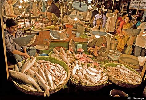 Typical Fish Market Kolkata Shot Manicktala North Kol Flickr