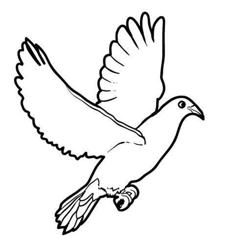 Gambar Kandang Burung Gambar Gratis Pixabay Merpati Siluet Mewarnai Di