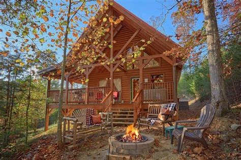 Wet Bear Paws Cabin In Smoky Mountains Pet Friendly Cabins Dog