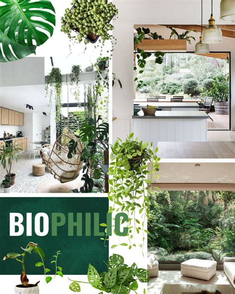 The Importance Of Biophilic Design How To Make Your Home Greener