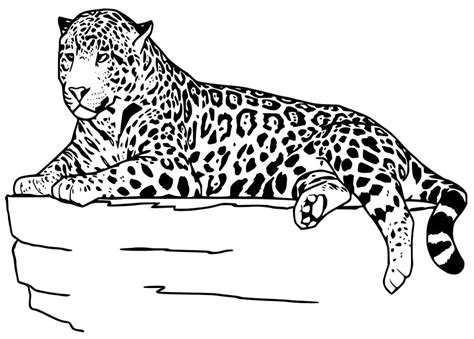 Dibujos De Jaguar 2 Para Colorear Para Colorear Pintar E Imprimir
