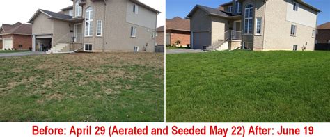 It's an easy and simple this prepares the lawn for overseeding. Core Aerating and then Overseeding- Before and After Photos - Turf King