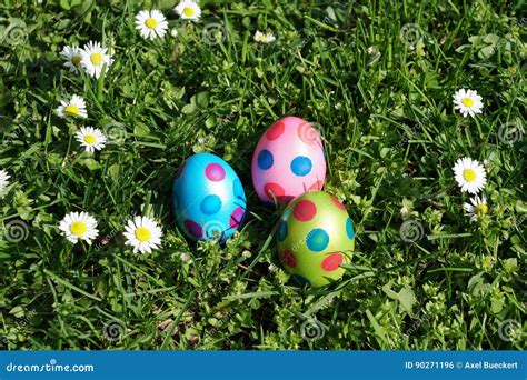 Dotted Easter Eggs And Daisy Flowers In Grass Meadow Stock Photo