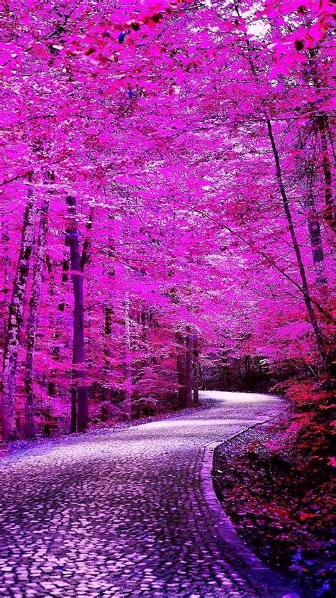 Ficar sempre com o mesmo papel de parede acaba cansando né? Bolu TURKEY | Lindas paisagens, Fotografia de paisagem ...