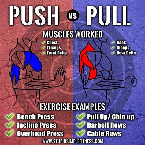 Whats The Difference Between Push Vs Pull Workouts Infographic