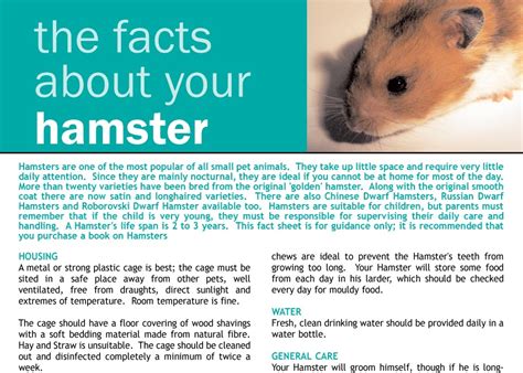 Hamster Facts Sheet Dwarf Hamster Facts And Care Freshfields Animal