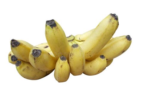 Banana Fruits Bananas Stock Image Image Of Fresh Feed 98283371