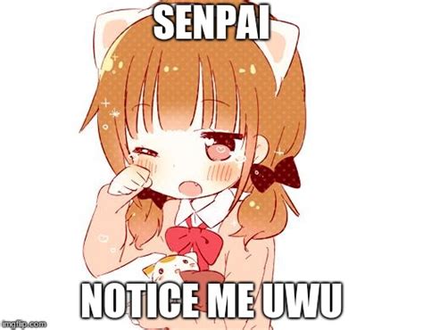 Senpai Notice Me Imgflip