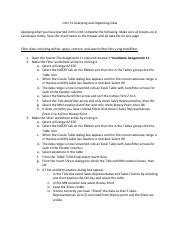 Unit 11 Assignment Instructions Pdf Unit 11 Analyzing And Organizing