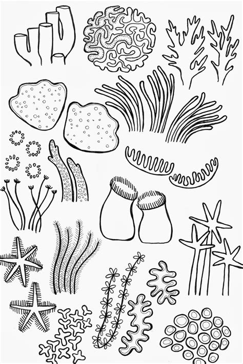 Drawing Underwater Coral Reef Sketch Coloring Page Coral Reef Art