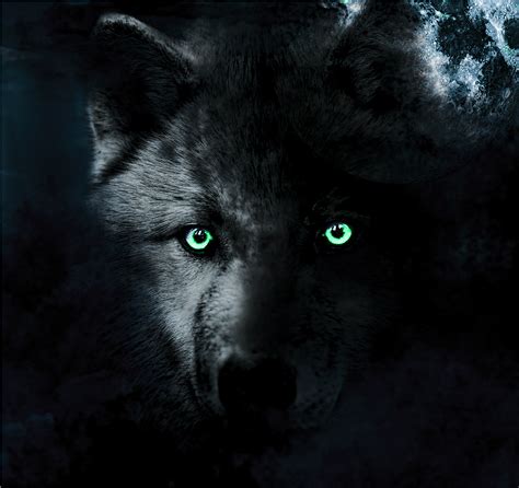Black Wolf With Red Eyes Wallpaper Posted By Christopher Simpson