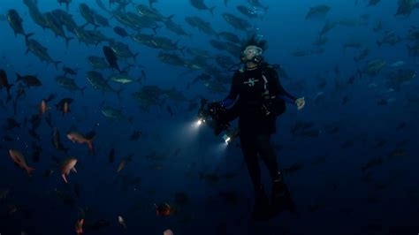 Ocean Insights Meet Sylvia Earle Youtube
