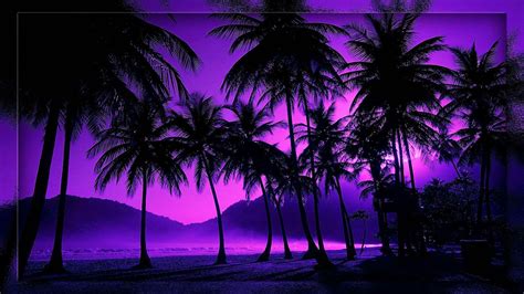 Tropical Night Sky Wallpapers On Wallpaperdog