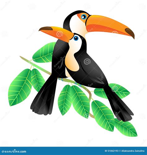Two Toucans Sitting On A Branch Stock Vector Illustration Of Isolated