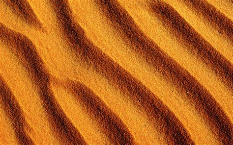 Download Wallpapers Sand Macro Sand Pattern Desert Sand Texture