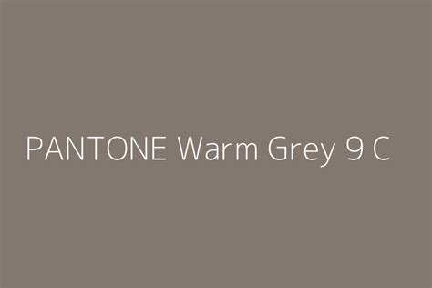 Pantone Warm Grey 9 C Color Hex Code