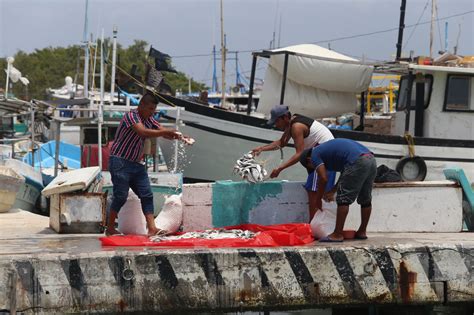 Pesca En Yucatán En Desorden Capitanía De Puerto Se Hace De La Vista