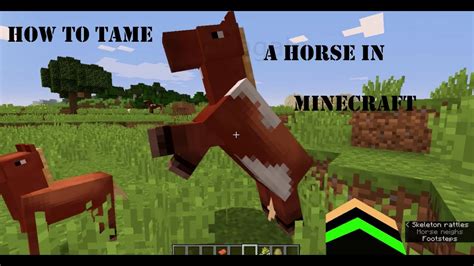 The only animals you can tame are wolves, ocelots and horses. | How to tame a horse easily in Minecraft | For beginners ...