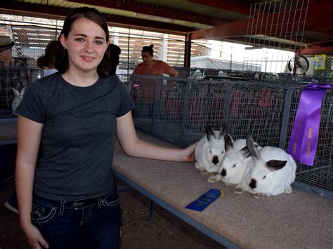 4 Her Hops Into Showing Rabbits At The Fremont County Fair Canon