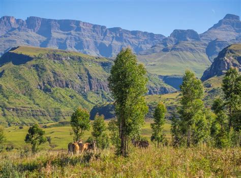 Exploring South Africa's Drakensberg: 'the barrier of ...