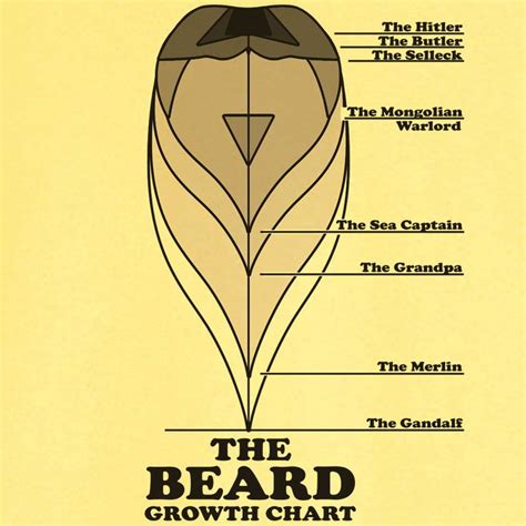 The Beard Growth Chart Hair Growth Charts Beard Colour Beard