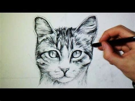 Dessin de chaton trop mignon à imprimer. dessin de chat facile realiste - Les dessins et coloriage