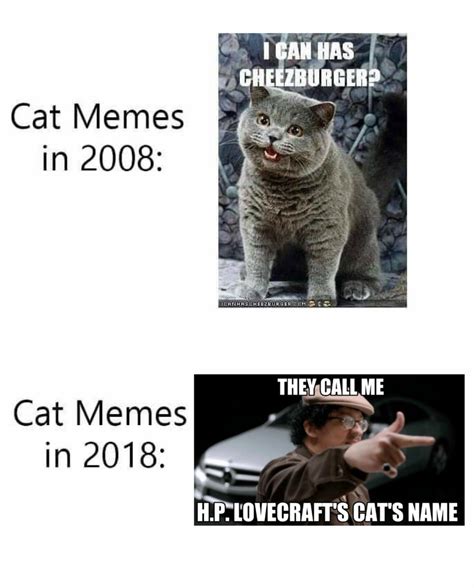 Lovecraft owned a cat by that name until 1904. Hp Lovecraft Cat Name Meme