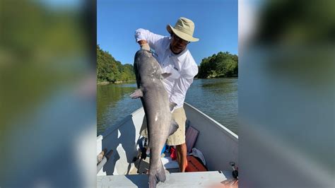 Man Catches 53 Pound Catfish In Potomac River Fox 5 Dc