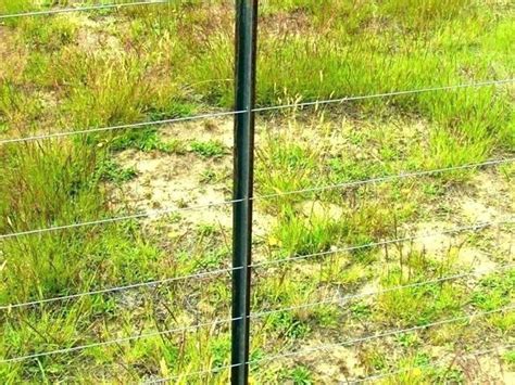 T post barbed wire fence. Steel T & L Posts - Wide Ranges of Heights for Fence ...