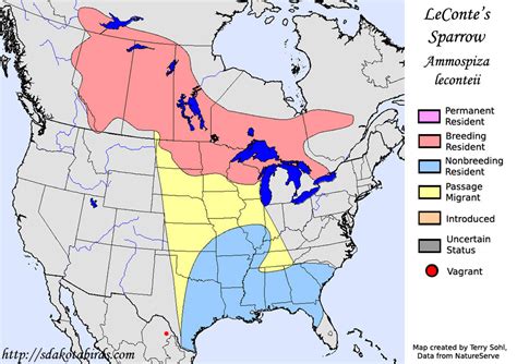 Lecontes Sparrow Species Range Map