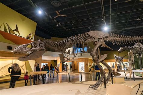 Cleveland Museum Of Natural History Your Complete Guide To Visiting