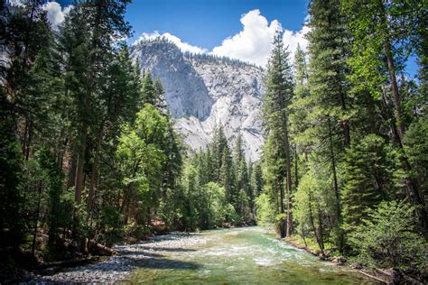 See The Redwoods 7 Best Hikes In Sequoia And Kings Canyon National Park
