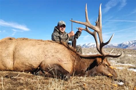 Guided Elk Hunts Guaranteed Elk Hunting West Canyon Ranch