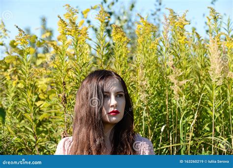 Russian Brunette Woman On The Nature Stock Image Image Of Girl Attractive 163260219