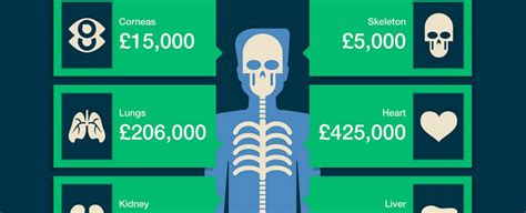 This Is How Much Your Body Is Worth Sciencealert