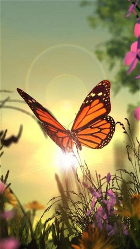 Download Butterfly Cell Phone Wallpaper Gallery