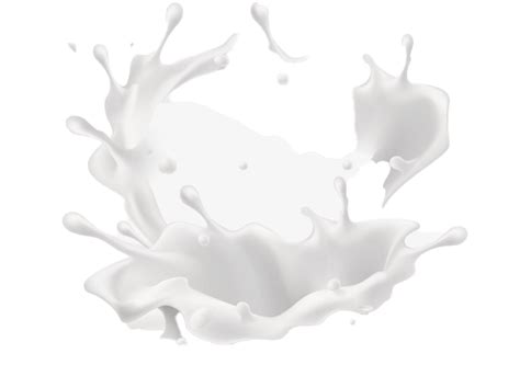 Circle Milk Splash Transparent PNG All PNG All