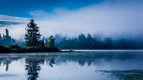 Lake Mist Nature Landscape Blue Calm Morning Trees Wallpaper
