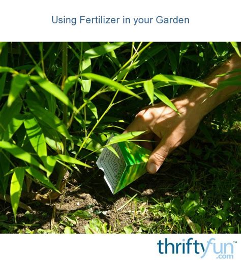 When to fertilize your veggie garden. Using Fertilizer in Your Garden | ThriftyFun