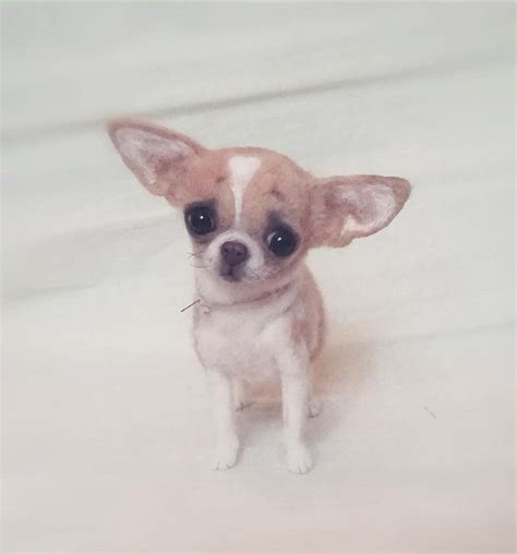 The Chihua Umaneedle Felted Dogmade To Order 17 Cm Tall Etsy Felt