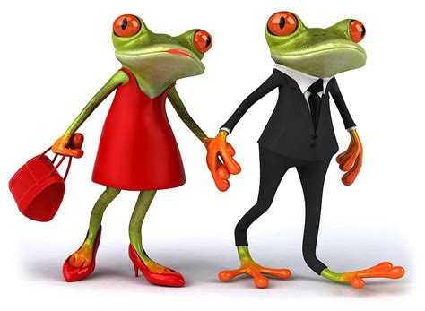 Couple Frogs Cute Funny Love Hd Wallpaper Peakpx