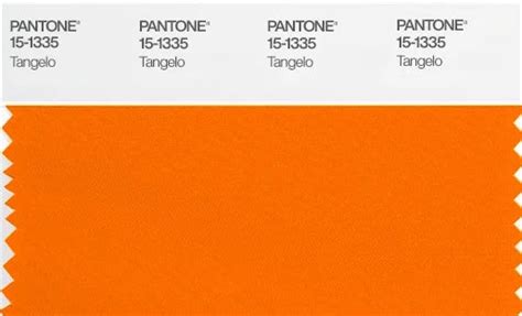 Is Tangelo The New Color Of Summer 2023 It Definitely Is And Here Is