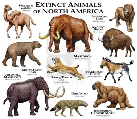 Types Of Animals Mammals - Pets Lovers