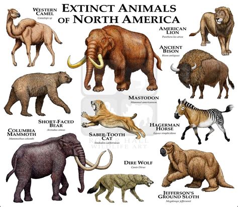 Extinct Mammals Of North America Fine Art Print Extinct Animals